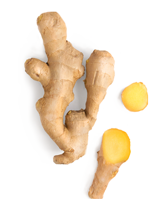 Jengibre, complemento nutricional